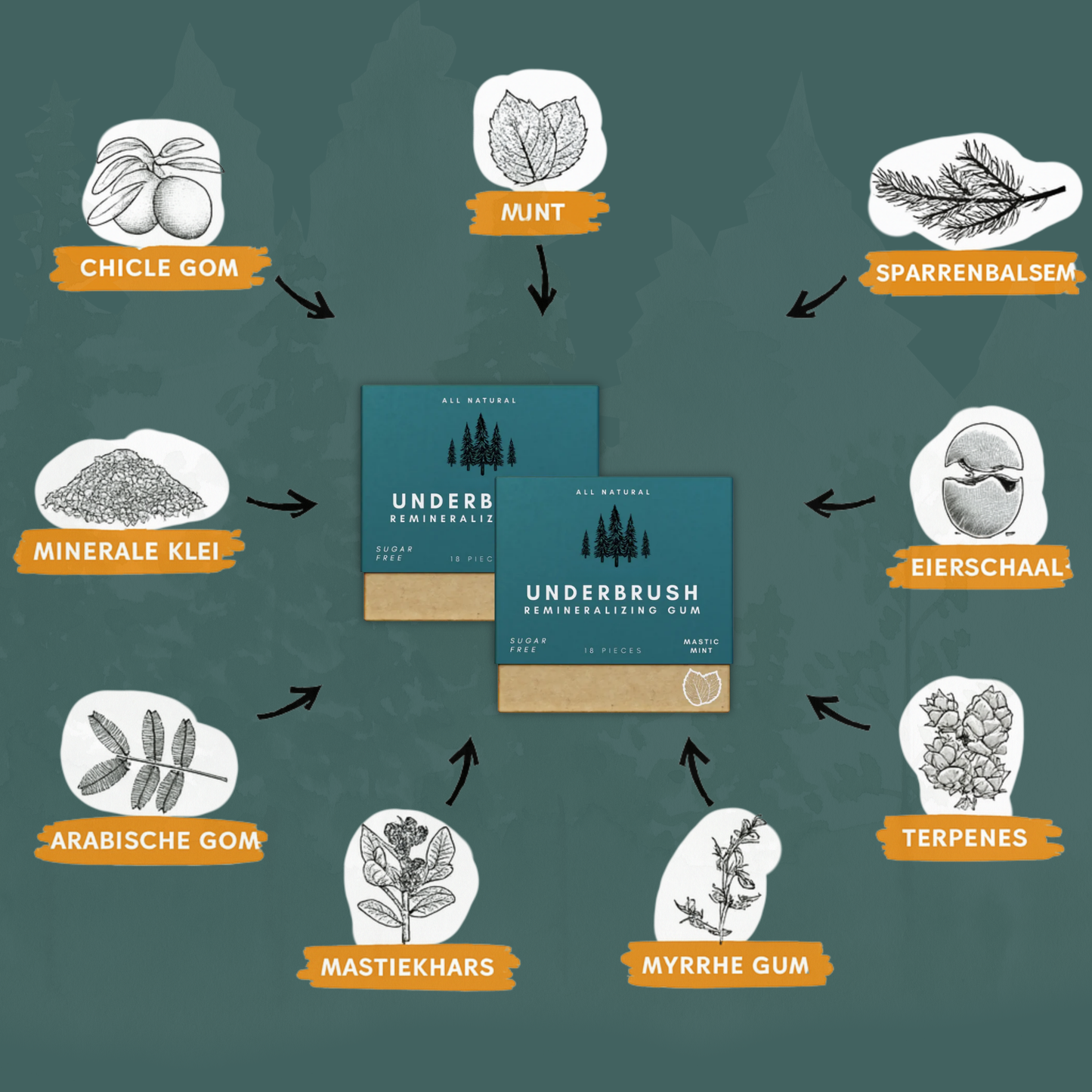 Healthy Gum – Voor een Stralende, Gezonde Glimlach